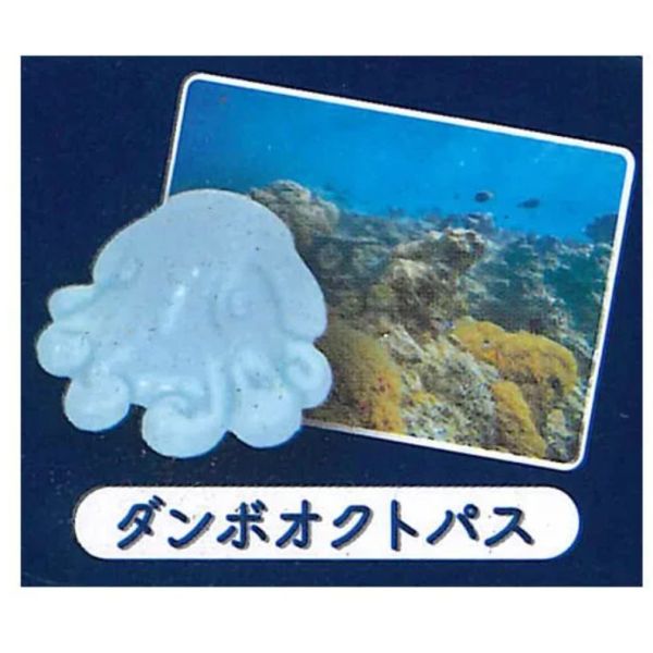 2A475『現貨』迷你水族箱景品-深海篇 YELL 扭蛋 轉蛋 