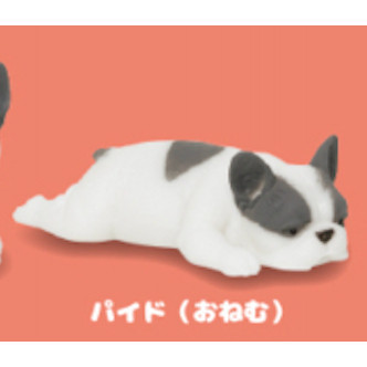 4A198『現貨』捏捏巨大法國鬥牛犬 KOROKORO 扭蛋 轉蛋 