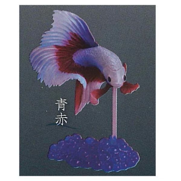 3A005『現貨』鬥魚~Betta~貳 Standstones 扭蛋 轉蛋 