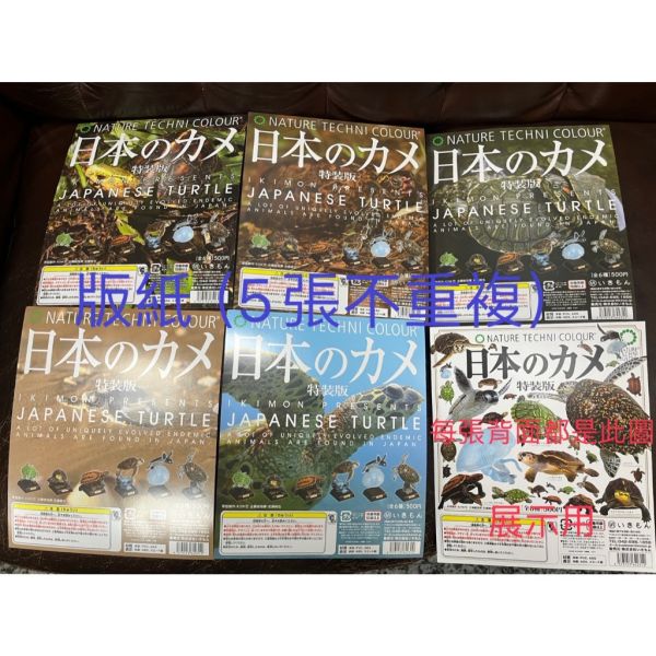 2A813『現貨』NTC圖鑑-日本烏龜 特裝版 IKIMON 扭蛋 轉蛋 