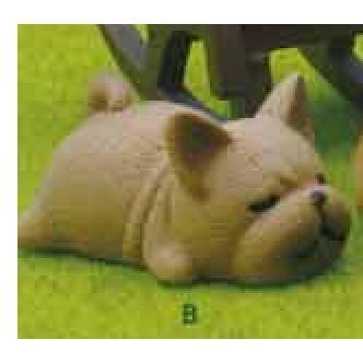 5A950『現貨』早安狗狗隊公仔  Qualia  扭蛋   轉蛋 