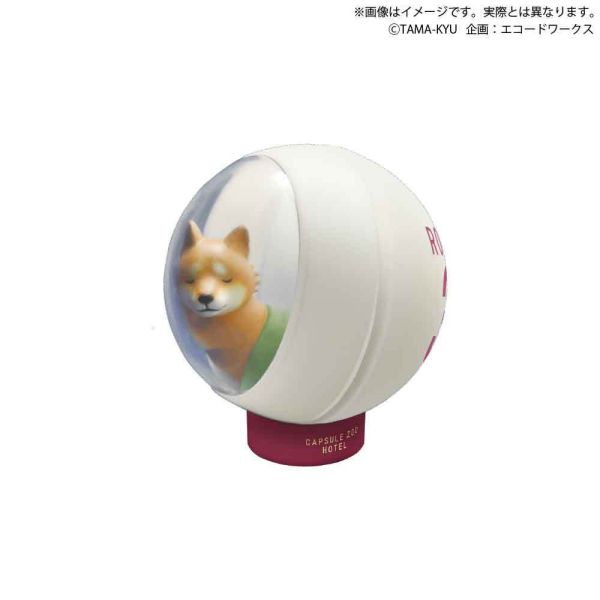 2A657『現貨』扭蛋動物園旅館 BUSHIROAD 扭蛋 轉蛋 