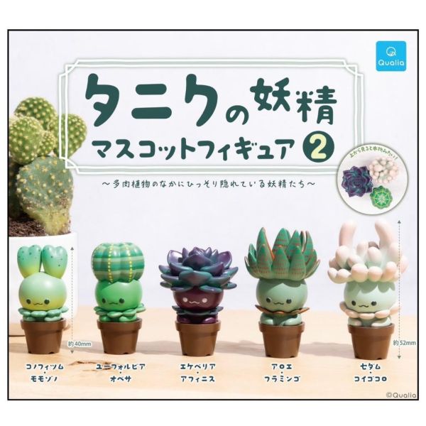 『預購』10月 多肉植物妖精公仔P2  Qualia  扭蛋   轉蛋 