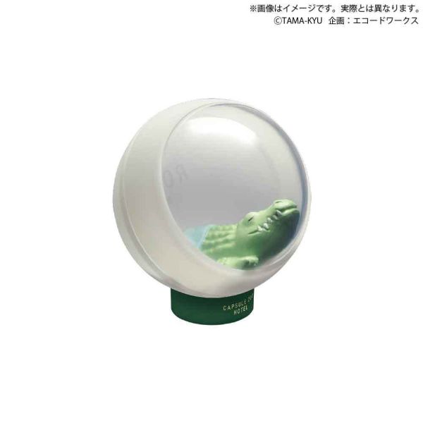 2A657『現貨』扭蛋動物園旅館 BUSHIROAD 扭蛋 轉蛋 