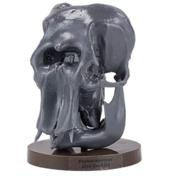 2A680『現貨』路上博物館特別展-植食性動物 SO-TA 扭蛋 轉蛋 