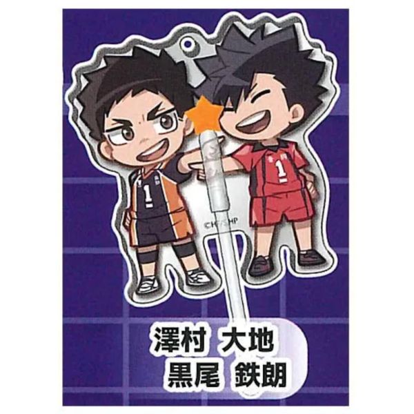 3A457『現貨』DECORA-PIC排球少年裝飾壓克力P2 Standstones 扭蛋 轉蛋 