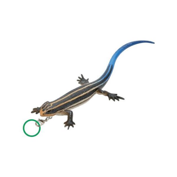 5A795『現貨』NTC-蜥蜴與壁虎造型吊飾   IKIMON  扭蛋   轉蛋 