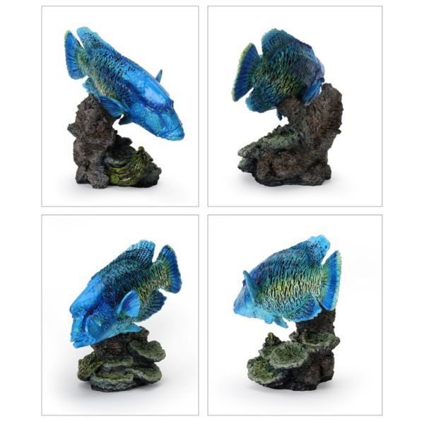 4A745『現貨』生物大圖鑑-珊瑚礁生物 BANDAI 扭蛋 轉蛋 