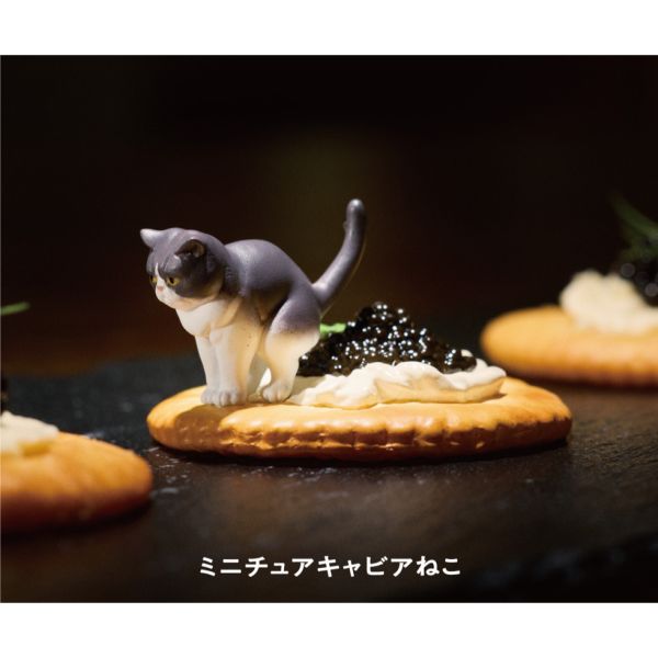 4A276『現貨』生活中的迷你貓咪 T-ARTS 扭蛋 轉蛋 