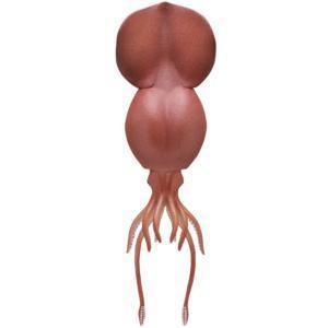 5A057『現貨』NTC圖鑑-深海生物珠鍊吊飾&磁鐵P2    IKIMON  扭蛋   轉蛋 