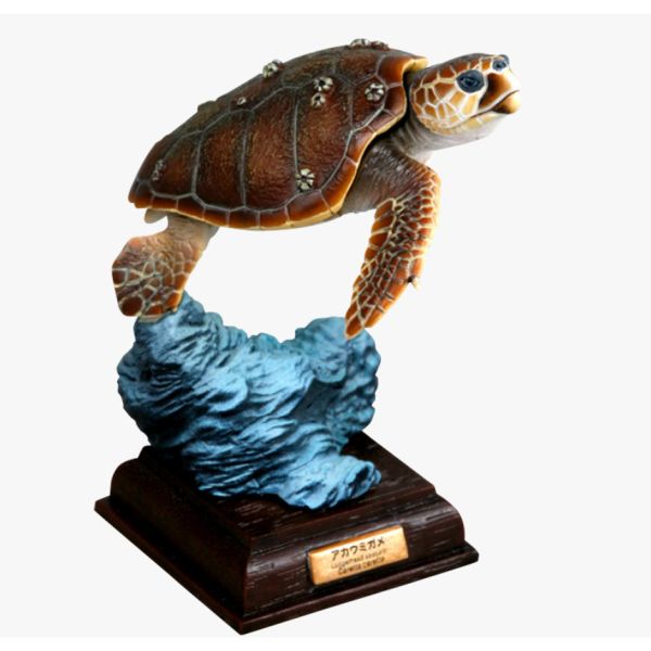 2A813『現貨』NTC圖鑑-日本烏龜 特裝版 IKIMON 扭蛋 轉蛋 