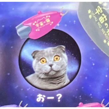 2A726『現貨』宇宙貓投影燈 YELL 扭蛋 轉蛋 