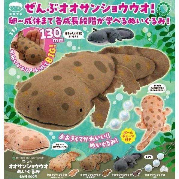 『預購』8月  ATC-KOTA大山椒魚絨毛吊飾   IKIMON  扭蛋   轉蛋 