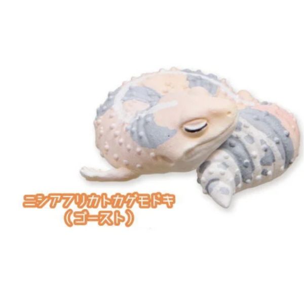 2A782『現貨』肥尾守宮與睫角守宮晚安公仔 Qualia 扭蛋 轉蛋 