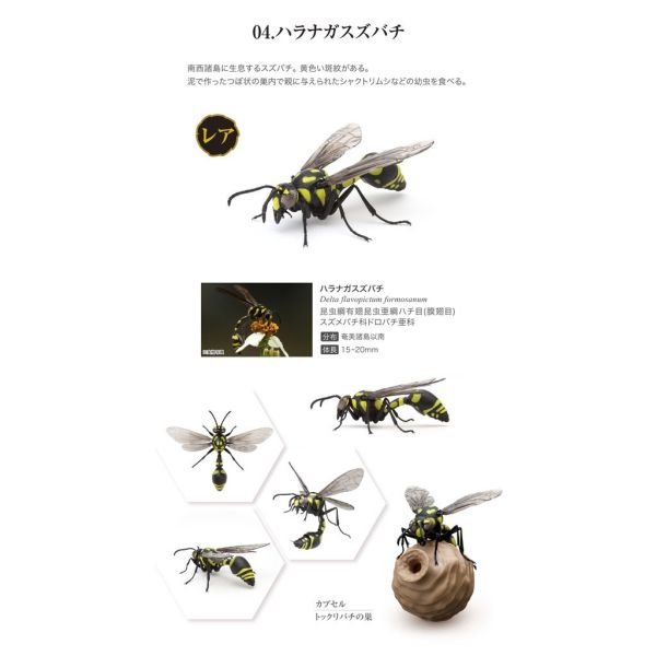 egb409『現貨』蜾蠃環保扭蛋 黃蜂 蜜蜂 胡蜂 虎頭蜂 扭蛋 轉蛋 