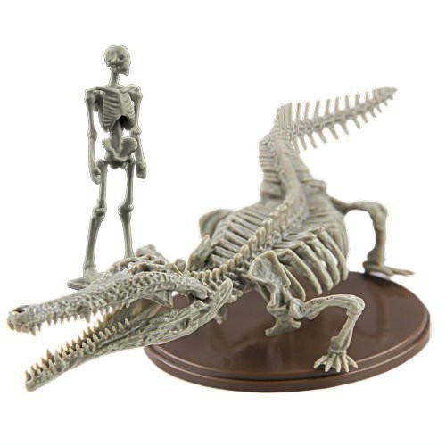 1A684『現貨』博物模型俱樂部 參-豐玉姬鱷篇 SO-TA 扭蛋 轉蛋 