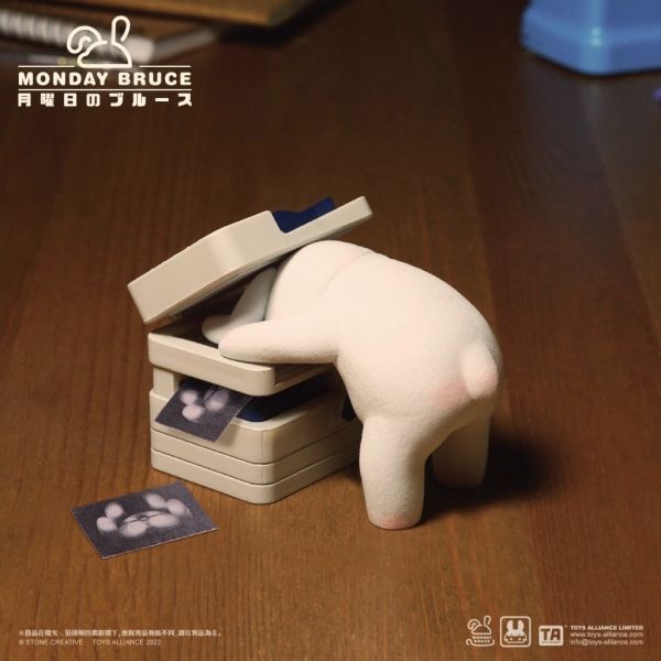 R60『現貨』星期一的布魯斯 盒玩 盲盒 