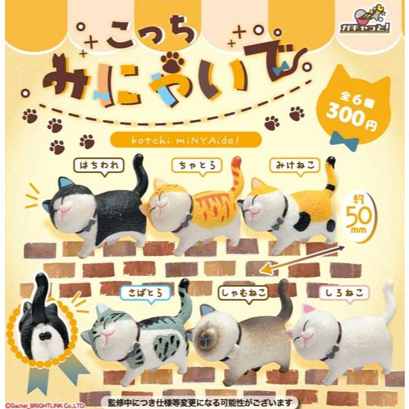 2A496『現貨』不要看喵 Bright link 扭蛋 轉蛋 