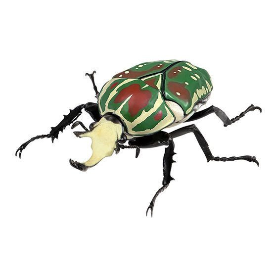 4A069『現貨』生物大圖鑑-獨角仙08 BANDAI 扭蛋 轉蛋 