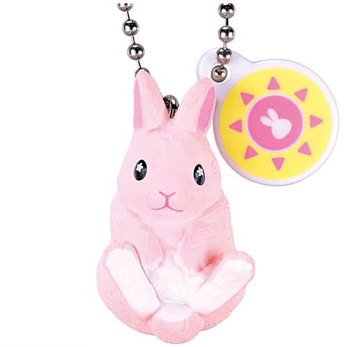 1A594『現貨』天氣兔吊飾 Tarlin 扭蛋 轉蛋 