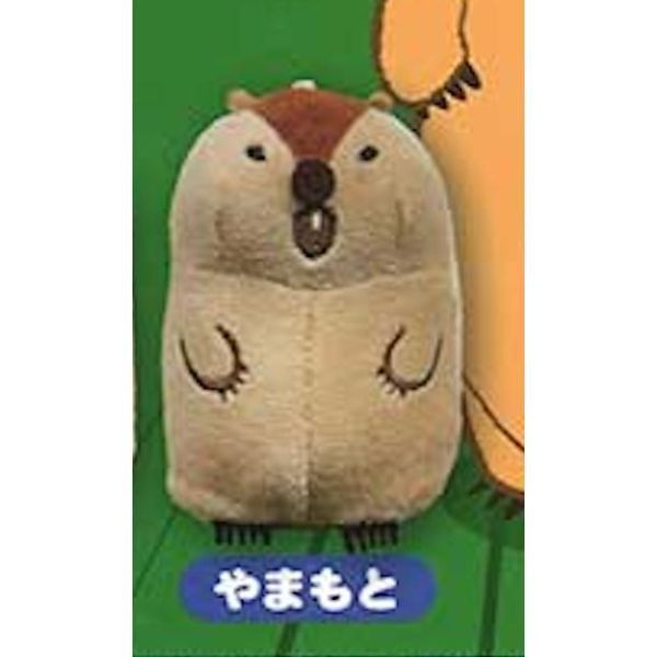 5A421『現貨』捏捏發聲土撥鼠MOTTOTO  AMUSE 扭蛋   轉蛋 