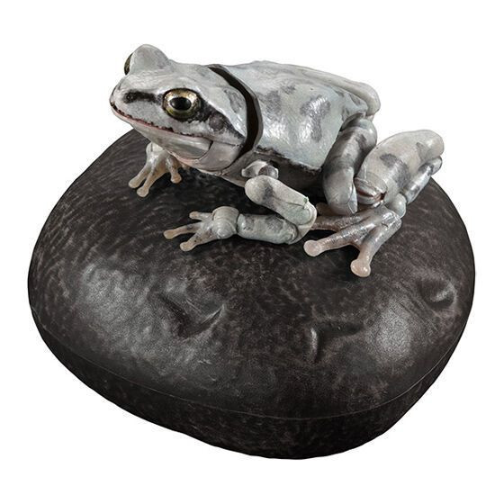 2A594『現貨』生物大圖鑑進擊-日本雨蛙P2 Bandai 扭蛋 轉蛋 