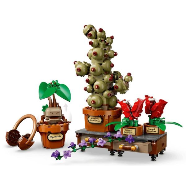 『現貨』  LEGO 76474	哈利波特-霍格華茲™ 藥草學植物    盒組 