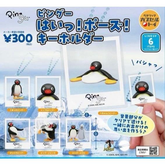 『預購』10月  PINGU拍立得透卡吊飾    BENELIC  扭蛋   轉蛋 