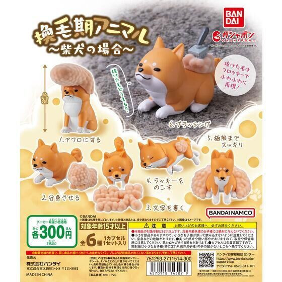 2A213『現貨』換毛期的柴犬 BANDAI 扭蛋 轉蛋 