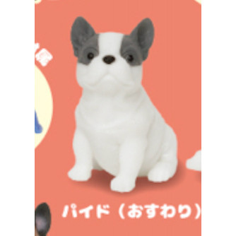 4A198『現貨』捏捏巨大法國鬥牛犬 KOROKORO 扭蛋 轉蛋 