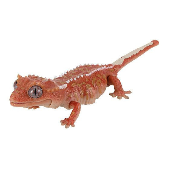 4A306『現貨』生物大圖鑑爬蟲類精 BANDAI 扭蛋 轉蛋 