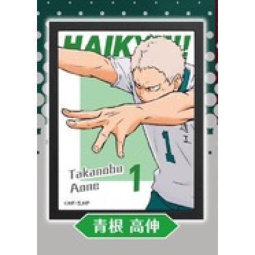 5A785『現貨』排球少年海報燈箱sideB  Standstones  扭蛋   轉蛋 