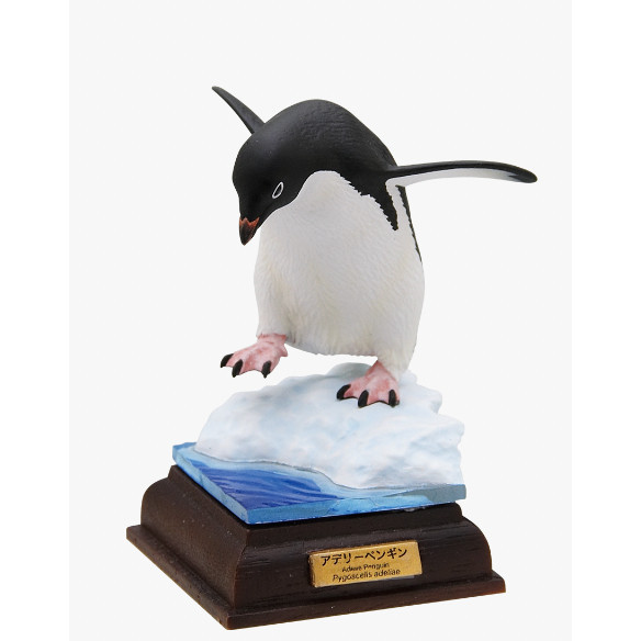 1A266『現貨』NTC圖鑑-南極大陸生命紀行 特別篇 IKIMON 扭蛋 轉蛋 