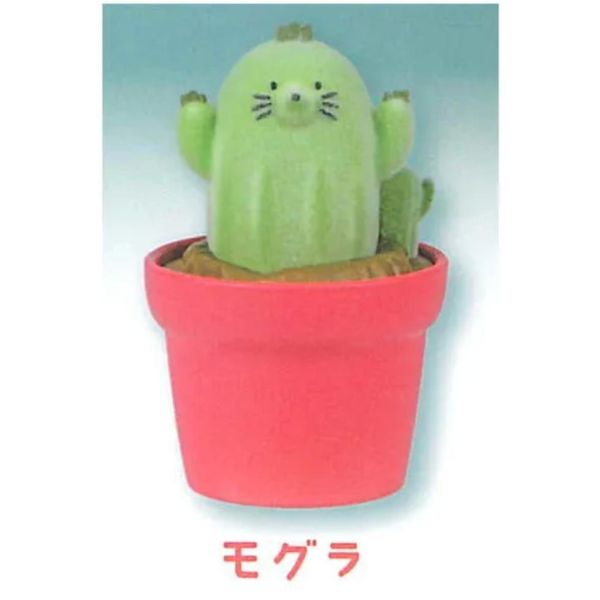 5A732『現貨』植絨仙人掌動物園  YELL  扭蛋   轉蛋 