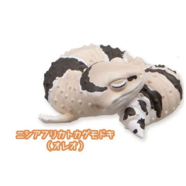 2A782『現貨』肥尾守宮與睫角守宮晚安公仔 Qualia 扭蛋 轉蛋 