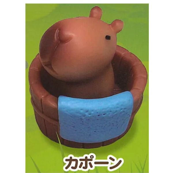 3A811『現貨』水豚的日常公仔 AMUSE 扭蛋 轉蛋 