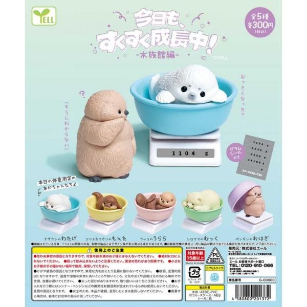 6A058『現貨』今日也茁壯成長中-水族館篇  YELL  扭蛋   轉蛋 
