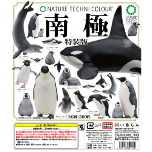 1A266『現貨』NTC圖鑑-南極大陸生命紀行 特別篇 IKIMON 扭蛋 轉蛋 