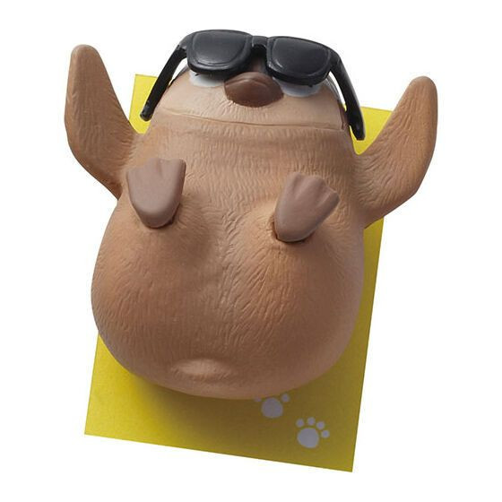 4A934『現貨』日曬動物 BANDAI 扭蛋 轉蛋 