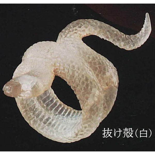 2A111『現貨』蛇輪 Standstones 扭蛋 轉蛋 