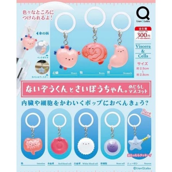 『預購』10月  內臟君與細胞醬記號吊飾   Lian Q Labo  扭蛋   轉蛋 