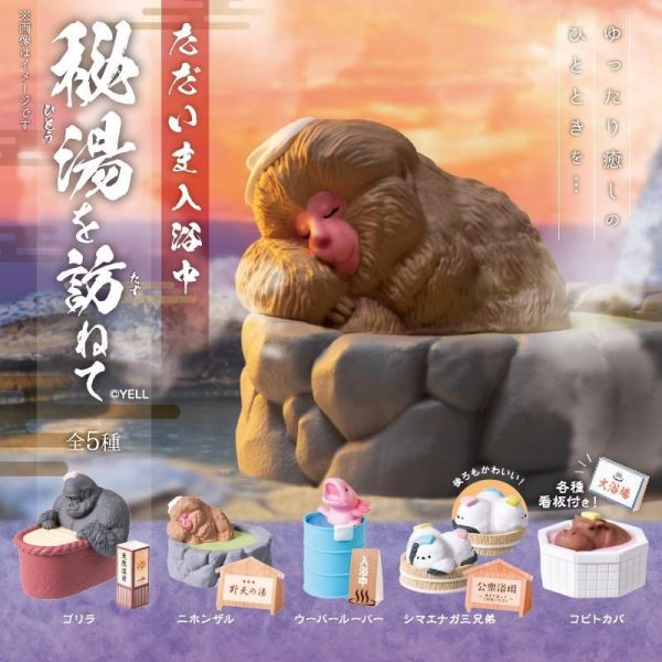 5A412『現貨』動物現在入浴中-秘湯探訪篇  YELL  扭蛋   轉蛋 