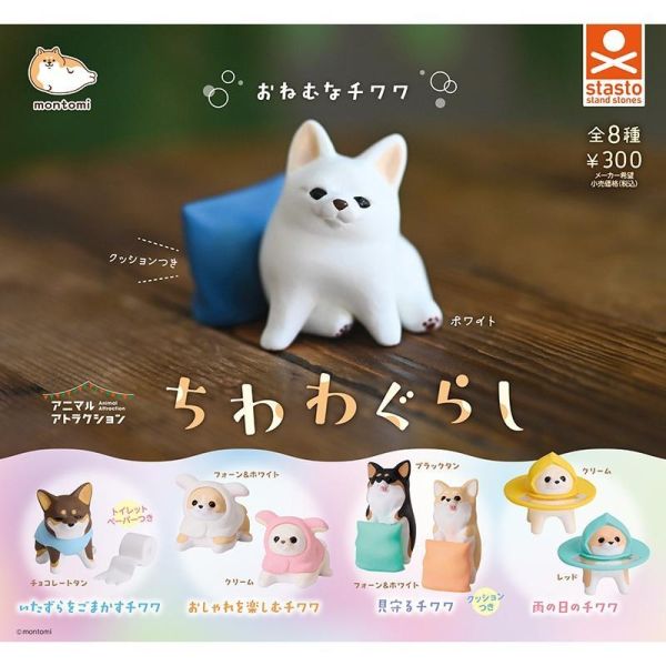 5A744『現貨』動物愛好系列-吉娃娃的日常  Standstones  扭蛋   轉蛋 