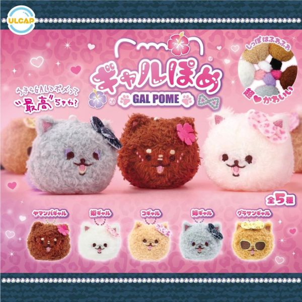 5A088『現貨』辣妹博美吊飾 ULTRA NEW PLANNING  扭蛋   轉蛋 