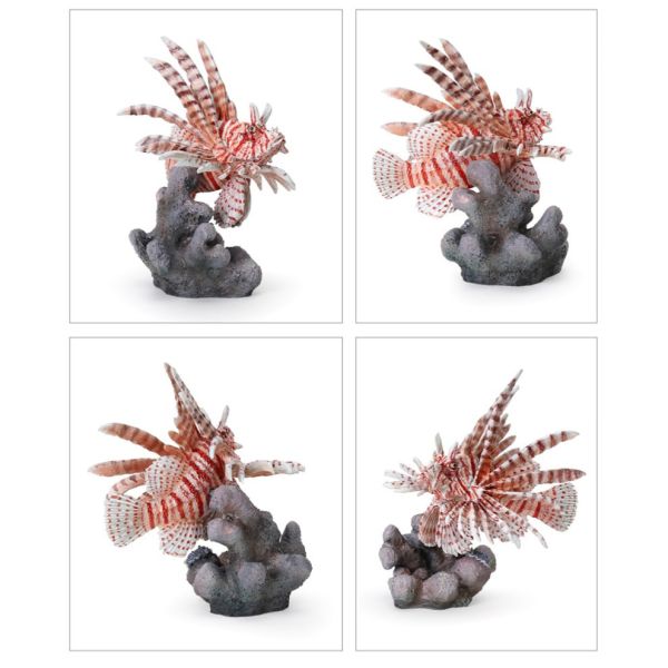 4A745『現貨』生物大圖鑑-珊瑚礁生物 BANDAI 扭蛋 轉蛋 