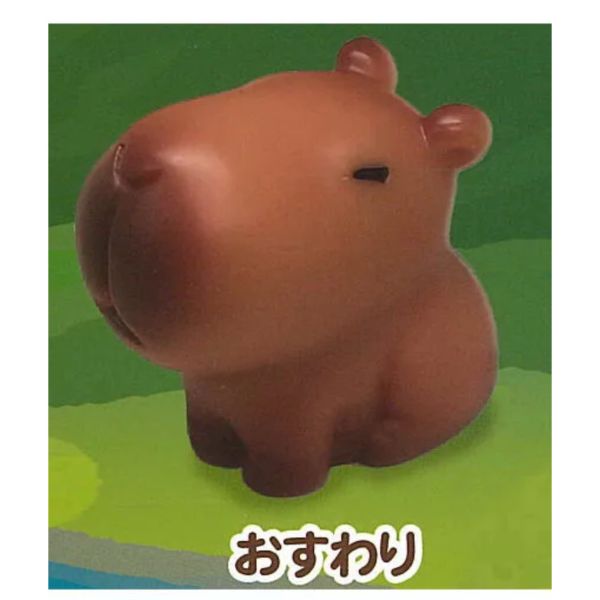 3A811『現貨』水豚的日常公仔 AMUSE 扭蛋 轉蛋 