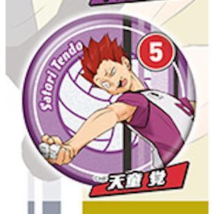 5A287『現貨』排球少年角色閃亮徽章-sideA  Standstones  扭蛋   轉蛋 