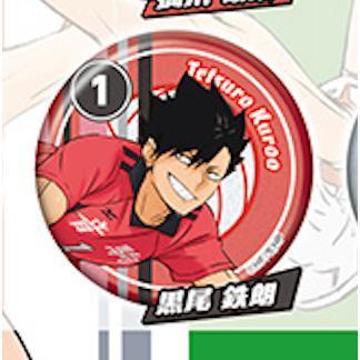 5A288『現貨』排球少年角色閃亮徽章-sideB  Standstones  扭蛋   轉蛋 