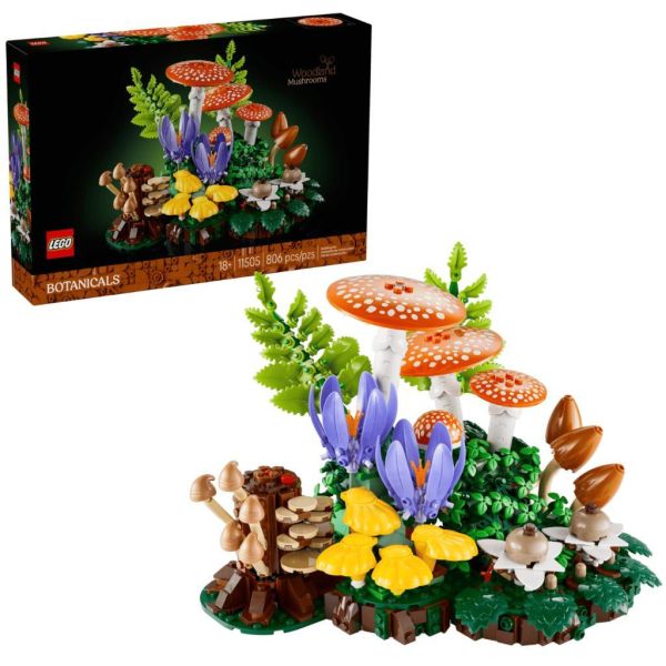 『現貨』  LEGO 11505	Botanicals-林地蘑菇    盒組 