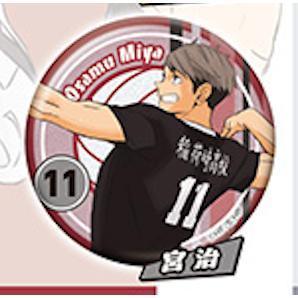 5A287『現貨』排球少年角色閃亮徽章-sideA  Standstones  扭蛋   轉蛋 